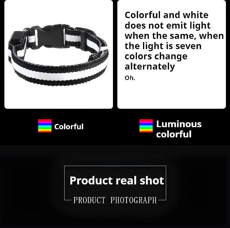 โจ LED Light-Up Dog Collar โ Rechargeable Flashing Night Safety Glow Collar for Dogs ๐๐ฆ