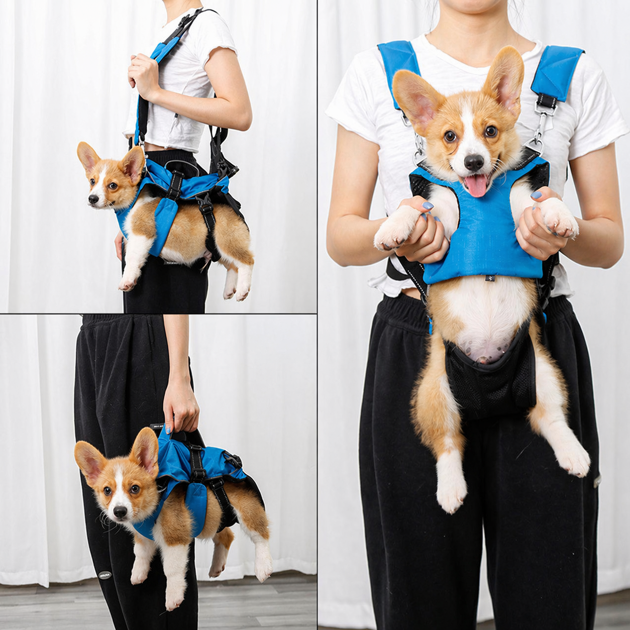 4-in-1 Multi-Function Dog Carrier Backpack & Harness
