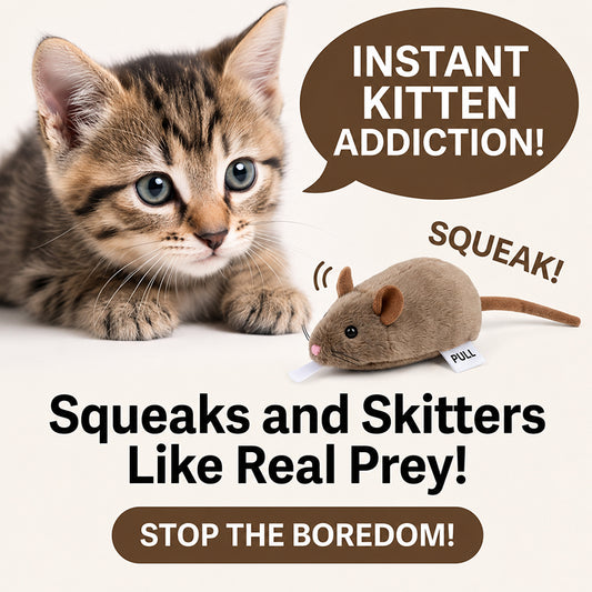 🎁LAST DAY SALE ! 50% OFF—Say Goodbye to Boredom: The Wind-Up Mouse That Drives Cats Wild! 🐭💥