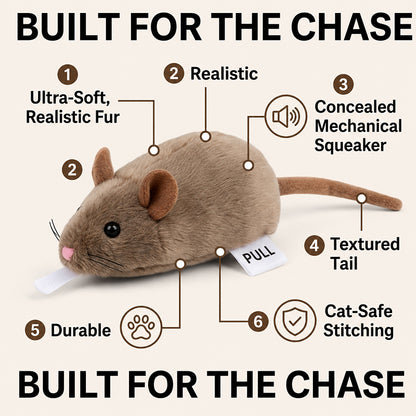 LAST DAY SALE ! 50% OFF—Say Goodbye to Boredom: The Wind-Up Mouse That Drives Cats Wild! 🐭💥