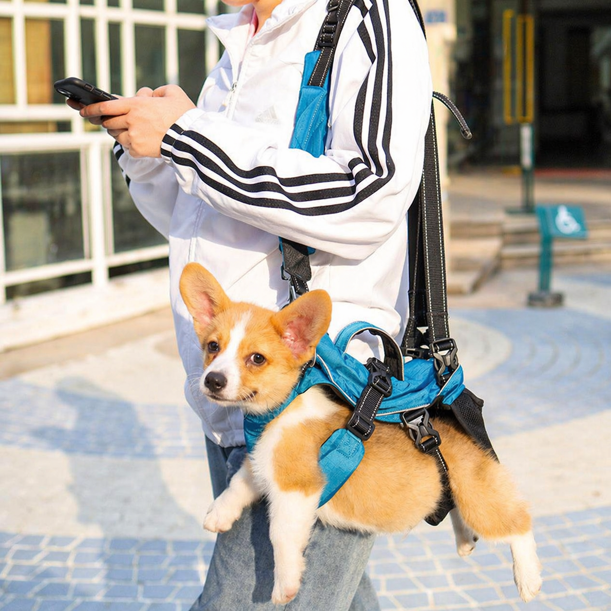 4-in-1 Multi-Function Dog Carrier Backpack & Harness