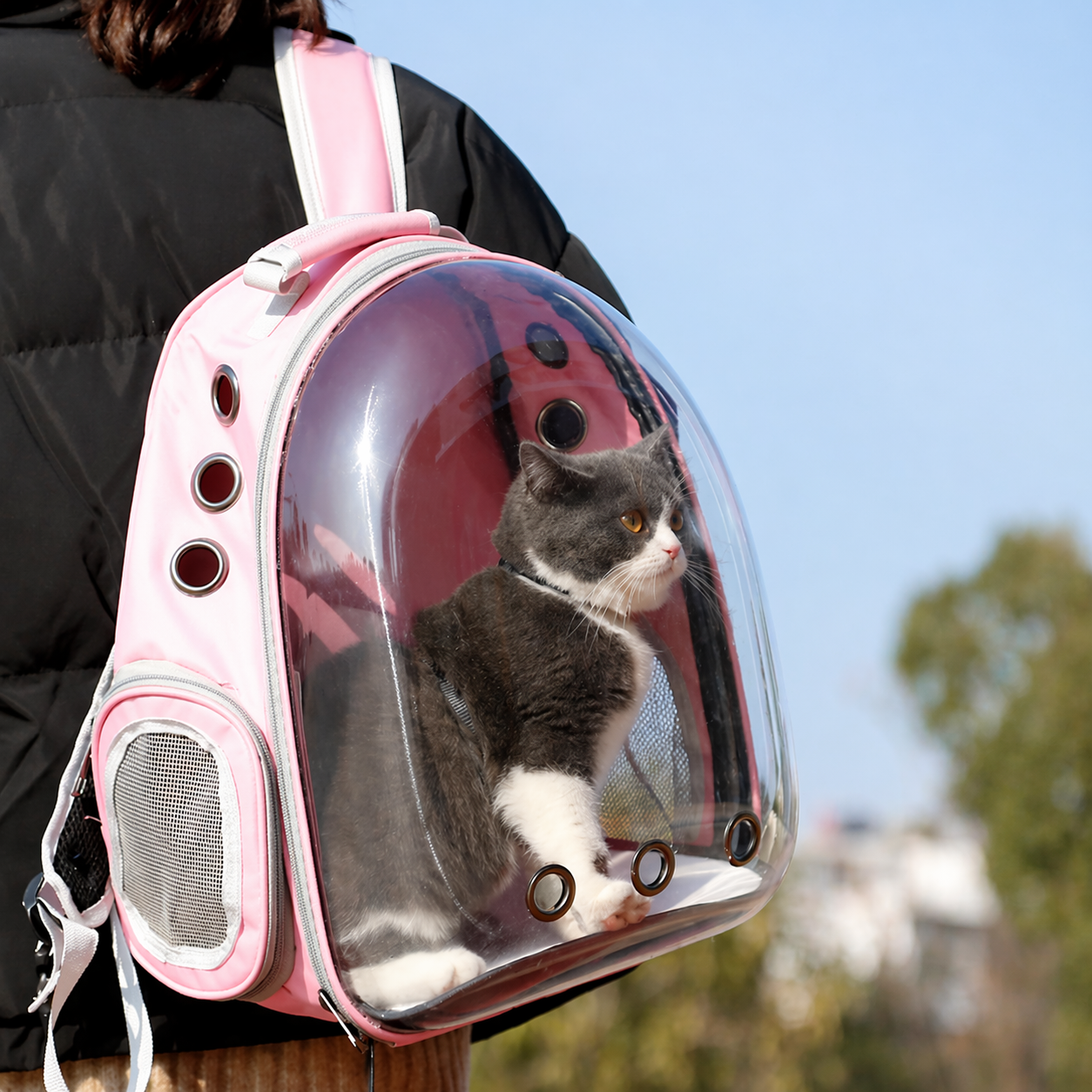 Transparent Cat Backpack Carrier – Breathable Space Capsule Pet Travel Bag