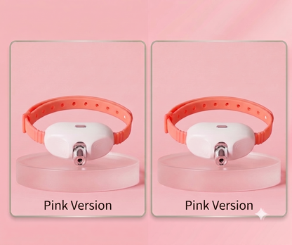 🔥 last day buy 2 get 2 free⚡“Keep Your Cat Entertained All Day — Even When You’re Busy 🐈