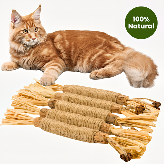 NEGUSY Natural Silvervine Dental Sticks– The Ultimate 100% Natural Cat Toy & Teeth Cleaner
