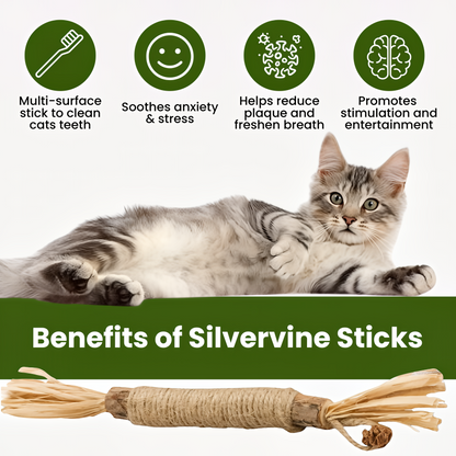 NEGUSY Natural Silvervine Dental Sticks– The Ultimate 100% Natural Cat Toy & Teeth Cleaner