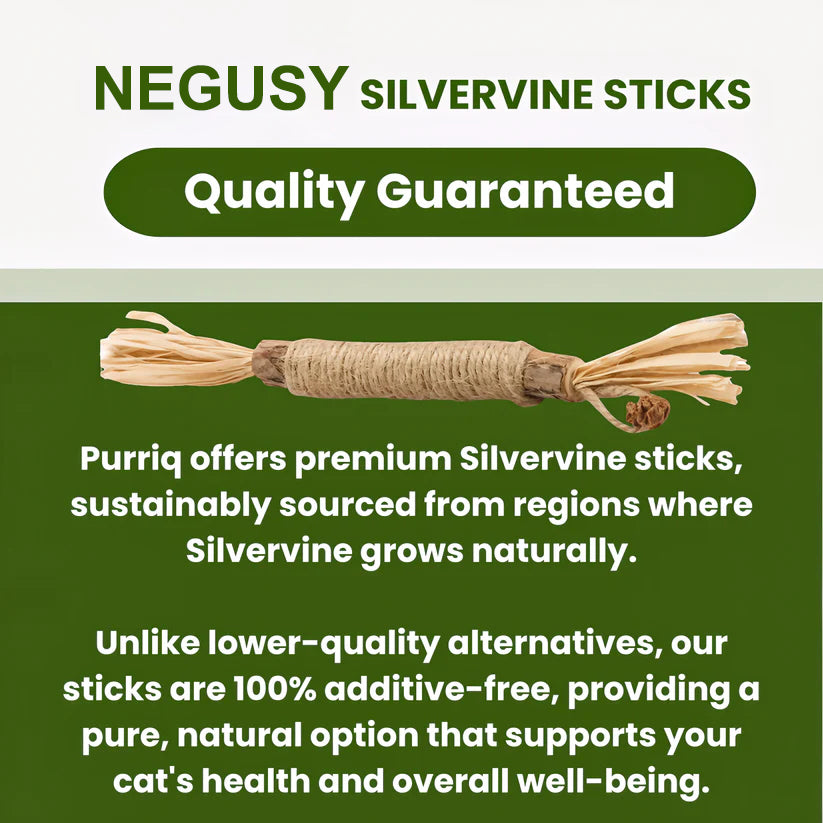 NEGUSY Natural Silvervine Dental Sticks– The Ultimate 100% Natural Cat Toy & Teeth Cleaner