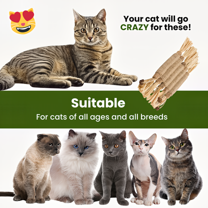 NEGUSY Natural Silvervine Dental Sticks– The Ultimate 100% Natural Cat Toy & Teeth Cleaner