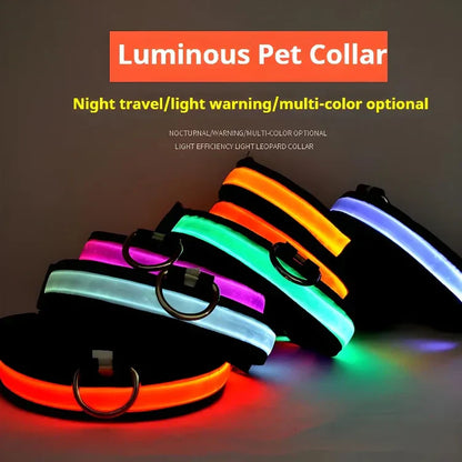 ✨ LED Light-Up Dog Collar – Rechargeable Flashing Night Safety Glow Collar for Dogs 🐕🔦