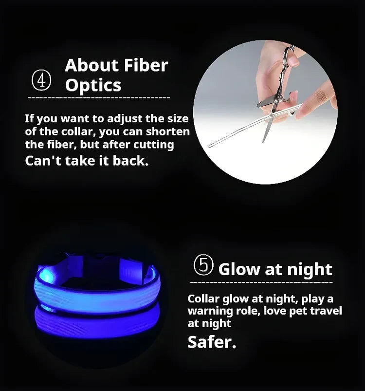 ✨ LED Light-Up Dog Collar – Rechargeable Flashing Night Safety Glow Collar for Dogs 🐕🔦