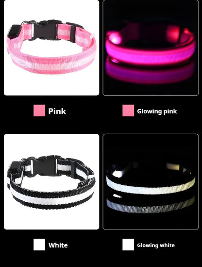 ✨ LED Light-Up Dog Collar – Rechargeable Flashing Night Safety Glow Collar for Dogs 🐕🔦