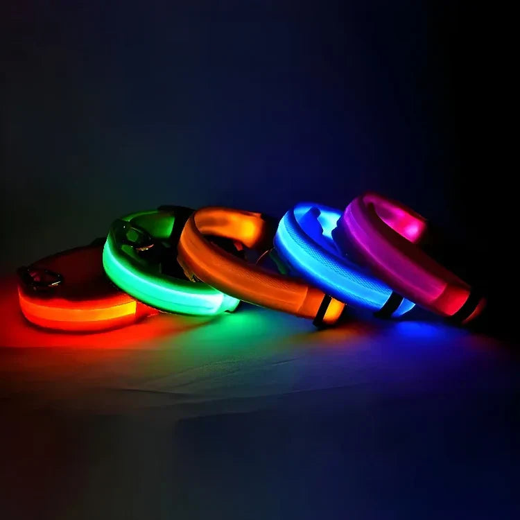 ✨ LED Light-Up Dog Collar – Rechargeable Flashing Night Safety Glow Collar for Dogs 🐕🔦