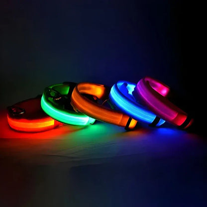 ✨ LED Light-Up Dog Collar – Rechargeable Flashing Night Safety Glow Collar for Dogs 🐕🔦