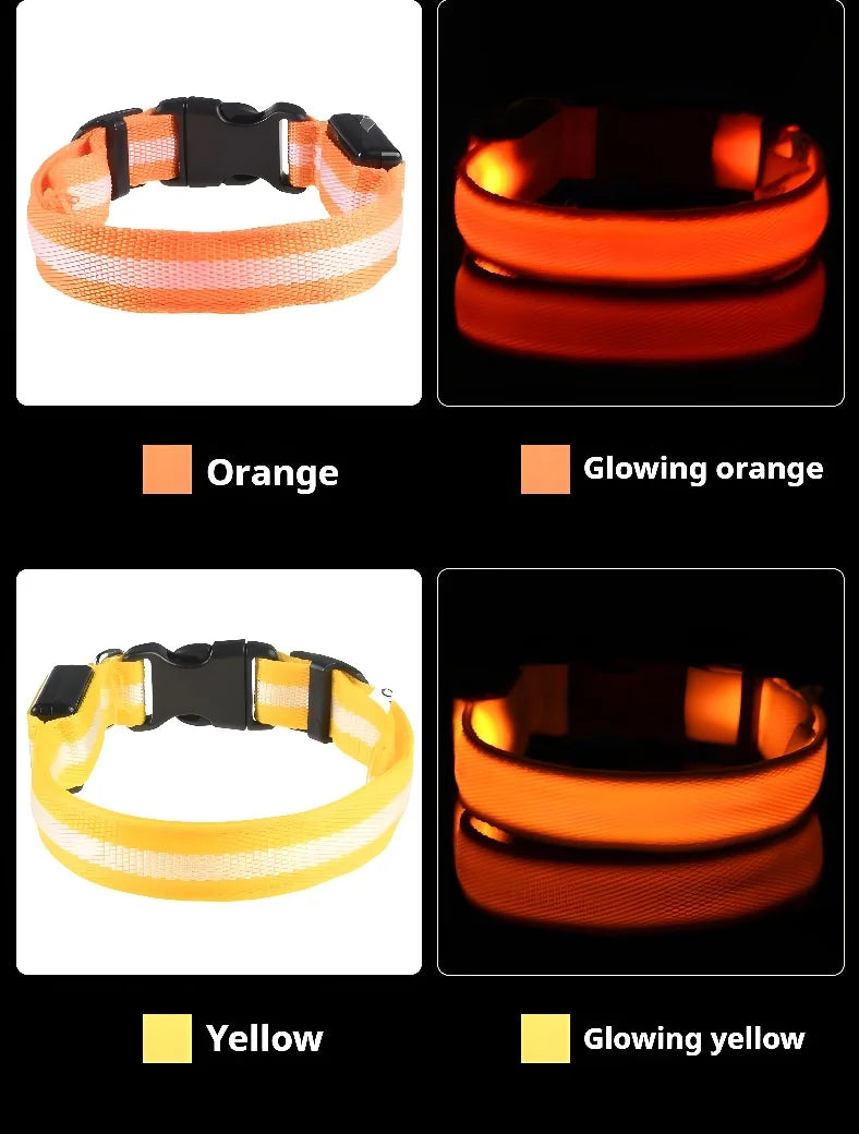✨ LED Light-Up Dog Collar – Rechargeable Flashing Night Safety Glow Collar for Dogs 🐕🔦