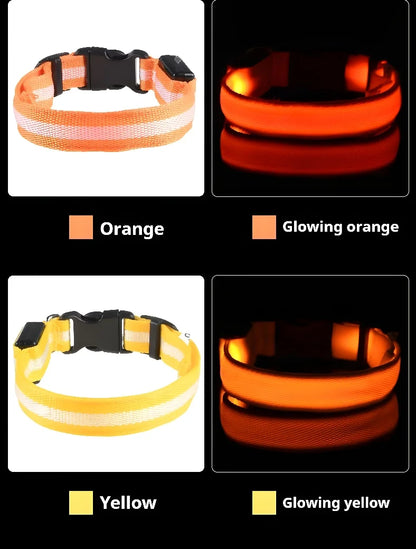 ✨ LED Light-Up Dog Collar – Rechargeable Flashing Night Safety Glow Collar for Dogs 🐕🔦