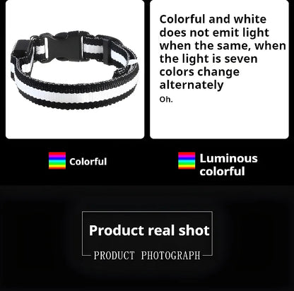 ✨ LED Light-Up Dog Collar – Rechargeable Flashing Night Safety Glow Collar for Dogs 🐕🔦