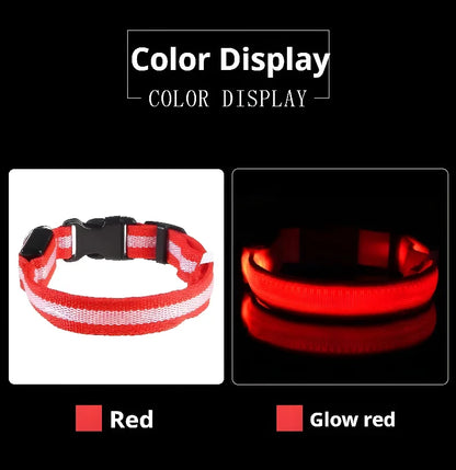 ✨ LED Light-Up Dog Collar – Rechargeable Flashing Night Safety Glow Collar for Dogs 🐕🔦