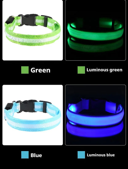 ✨ LED Light-Up Dog Collar – Rechargeable Flashing Night Safety Glow Collar for Dogs 🐕🔦
