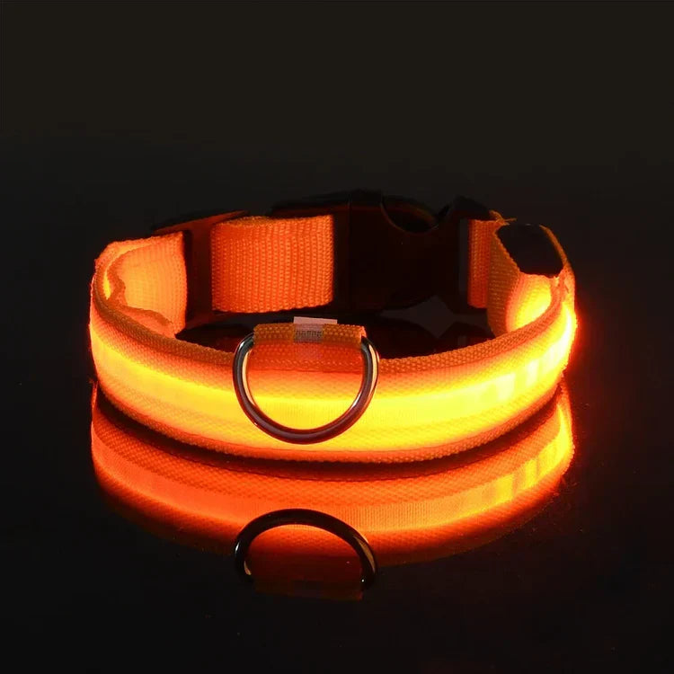 ✨ LED Light-Up Dog Collar – Rechargeable Flashing Night Safety Glow Collar for Dogs 🐕🔦