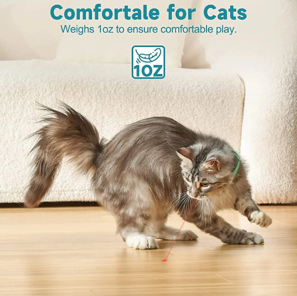 ⚡“Keep Your Cat Entertained All Day — Even When You’re Busy 🐈🔥 50% OFF - Last Day Sale”
