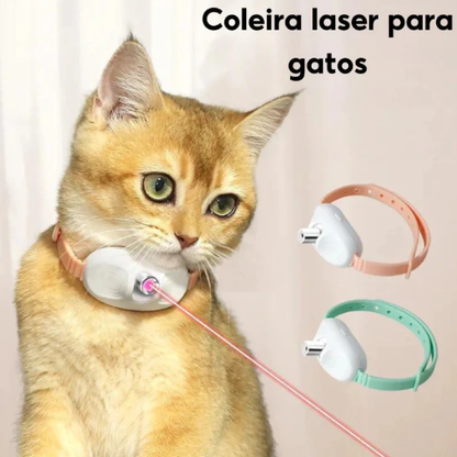⚡“Keep Your Cat Entertained All Day — Even When You’re Busy 🐈🔥 50% OFF - Last Day Sale”