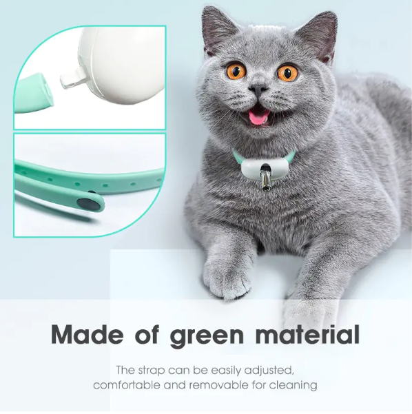 ⚡“Keep Your Cat Entertained All Day — Even When You’re Busy 🐈🔥 50% OFF - Last Day Sale”