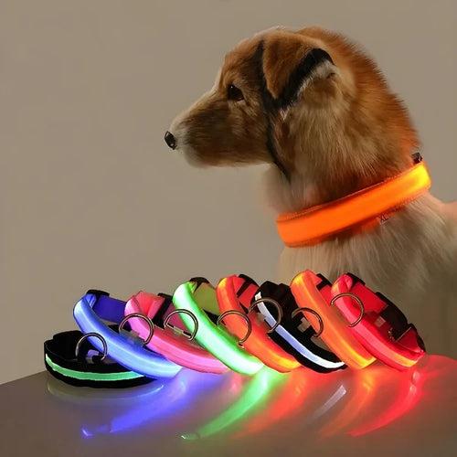 ✨ LED Light-Up Dog Collar – Rechargeable Flashing Night Safety Glow Collar for Dogs 🐕🔦