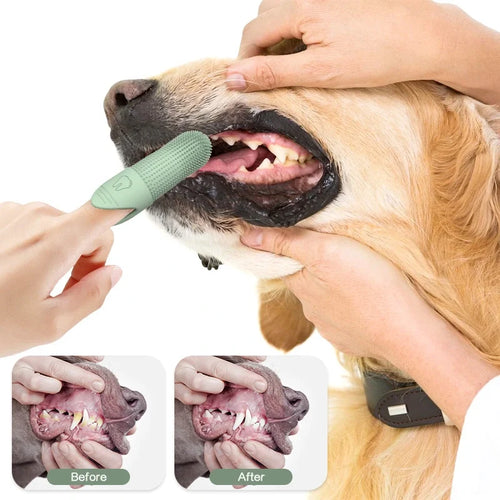 Buy 1 Get 2 Free 360° Cleaning Finger Toothbrush for Dogs & Cats – Food-Grade Silicone, Fits Most Fingers