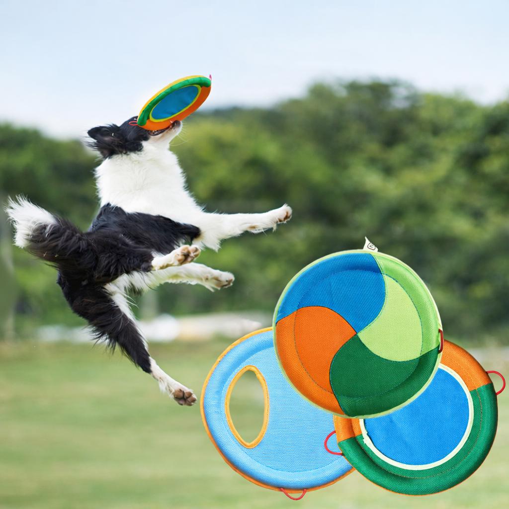 Interactive Dog Flying Disc Toy – Durable Soft Training Frisbee