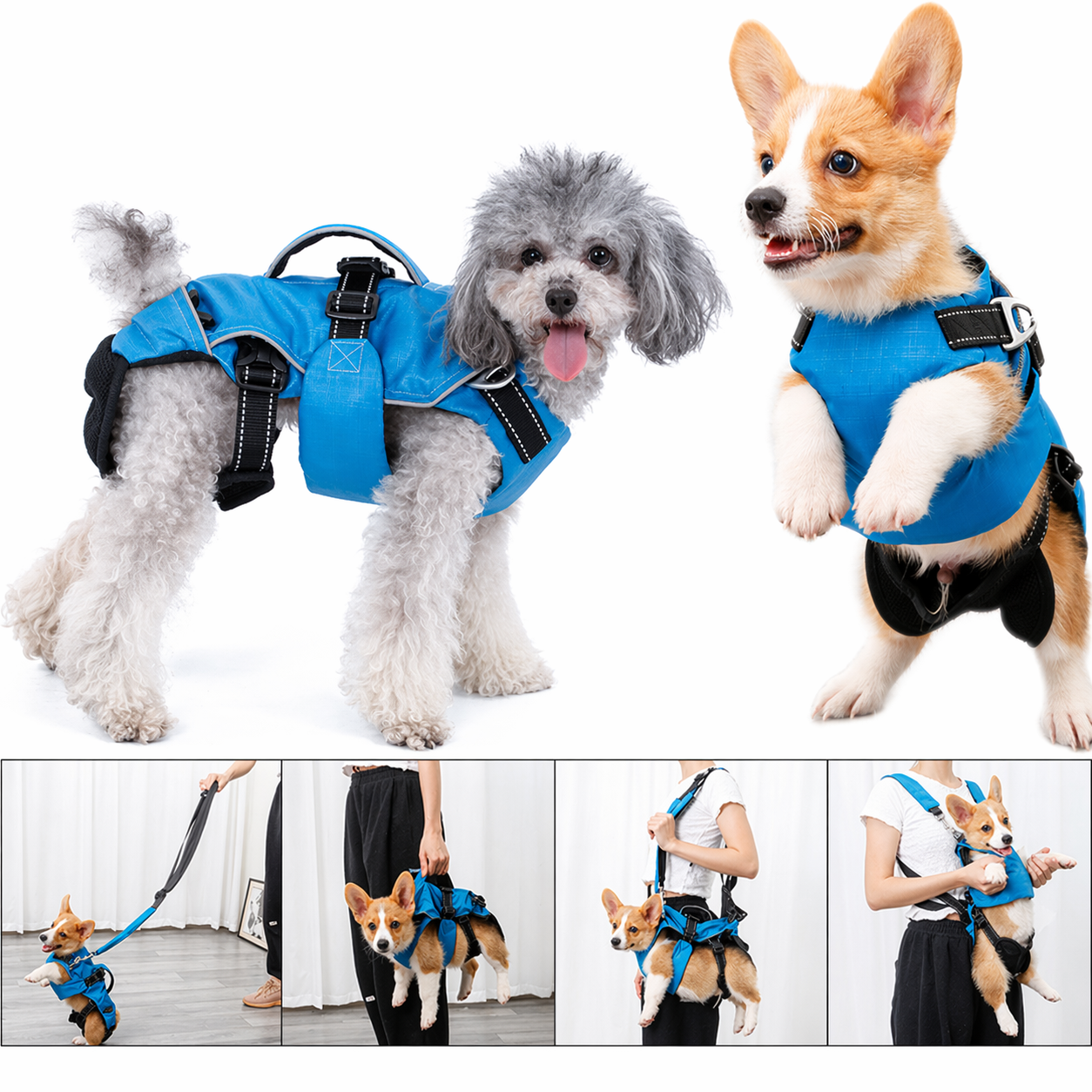4-in-1 Multi-Function Dog Carrier Backpack & Harness