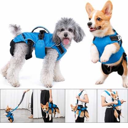 4-in-1 Multi-Function Dog Carrier Backpack & Harness