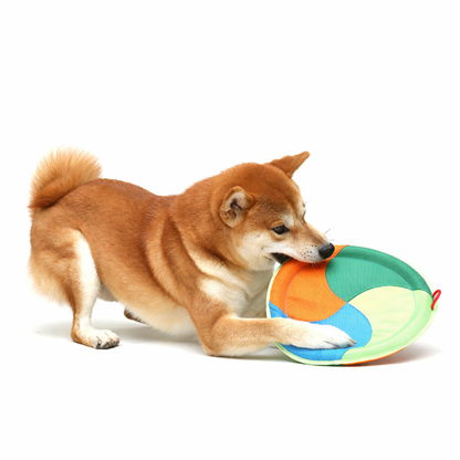 Interactive Dog Flying Disc Toy – Durable Soft Training Frisbee
