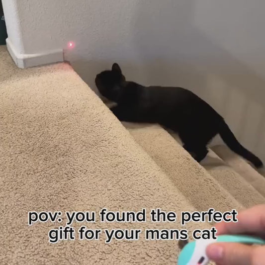 🔥 last day buy 2 get 2 free⚡“Keep Your Cat Entertained All Day — Even When You’re Busy 🐈